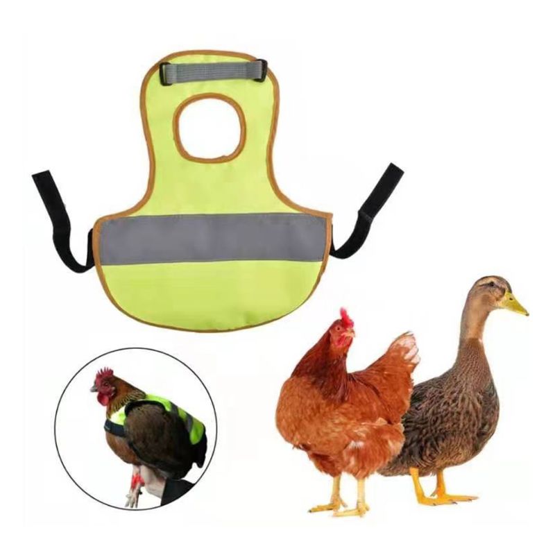 Chicken Harness Reflective Vests Hen with Matching Belt Comfortable Breathable 95AA