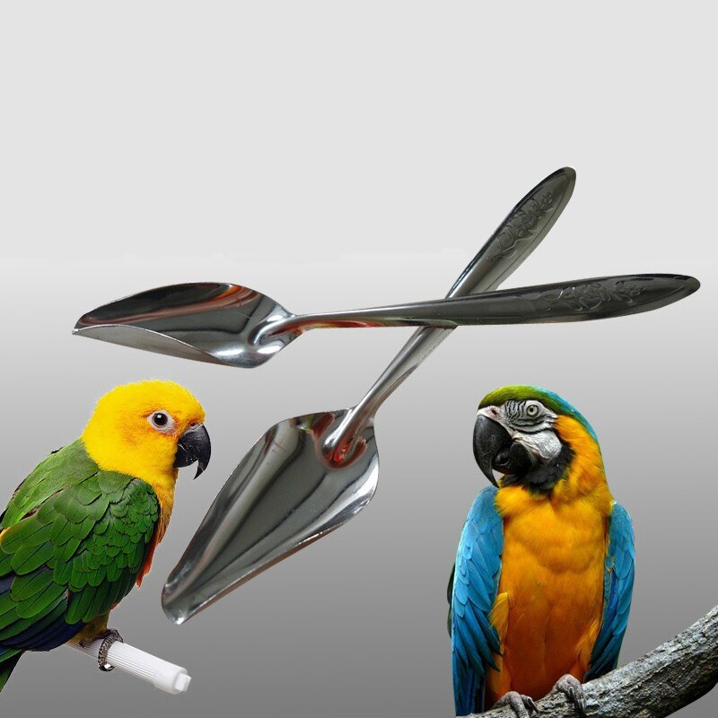 2 pcs/set Bird Parrot Feeding Spoon Stainless Steel Water Milk Powder Feeder Spoons Bird Supplies
