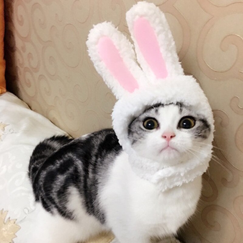 Funny Pet Dog Cat Cap Costume Warm Rabbit Hat New Year Party Christmas Cosplay Accessories Photo Props Headwear