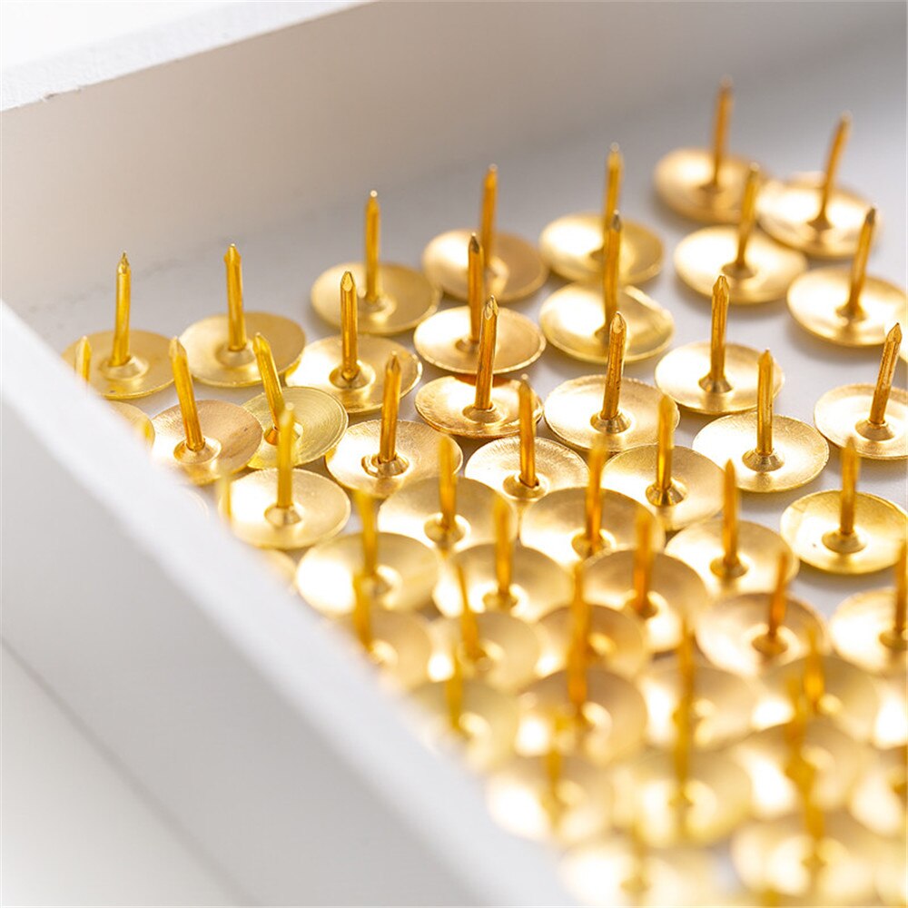 Golden Thumb Tacks With Round Great For Bulletin Boards - Temu