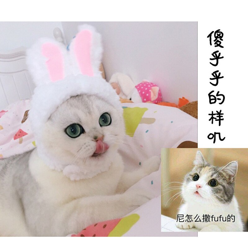 Funny Pet Dog Cat Cap Costume Warm Rabbit Hat New Year Party Christmas Cosplay Accessories Photo Props Headwear