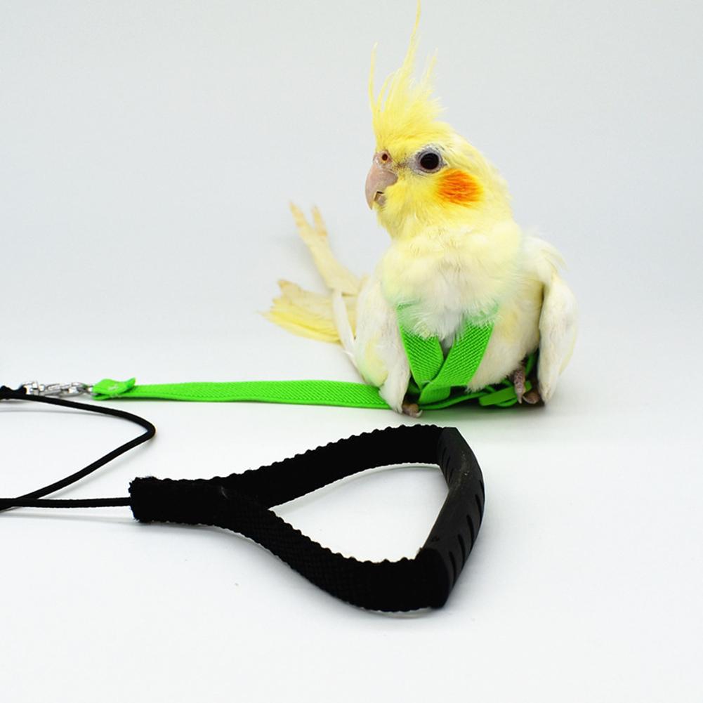 Hot Sale Anti-bite Flying Training Rope Parrot Bird Pet Leash Kits Ultralight Harness Leash Soft Portable Pet Playthings
