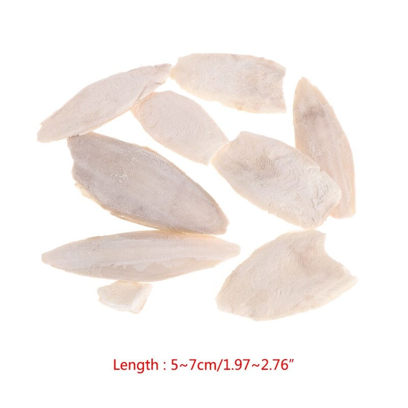 1 Bag Cuttlebone Cuttlefish Sepia Bone Cuttle Fish Bird Food Calcium Pickstone Pet