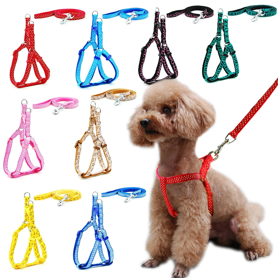 Dog Cat Harness Leash Adjustable Harness Vest Leash Collar Puppy Small Dog Outdoor Walking Chihuahua Terier Schnauzer