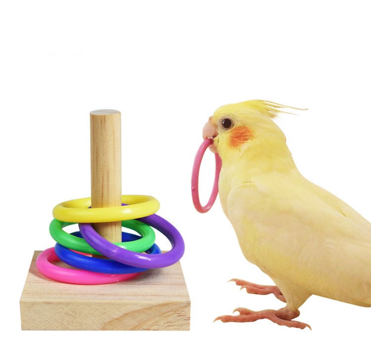 Bird Toys Bird Trick Tabletop Toys for Education Play Gym Playground Activity